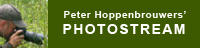 Peter Hoppenbrouwers' Photostream